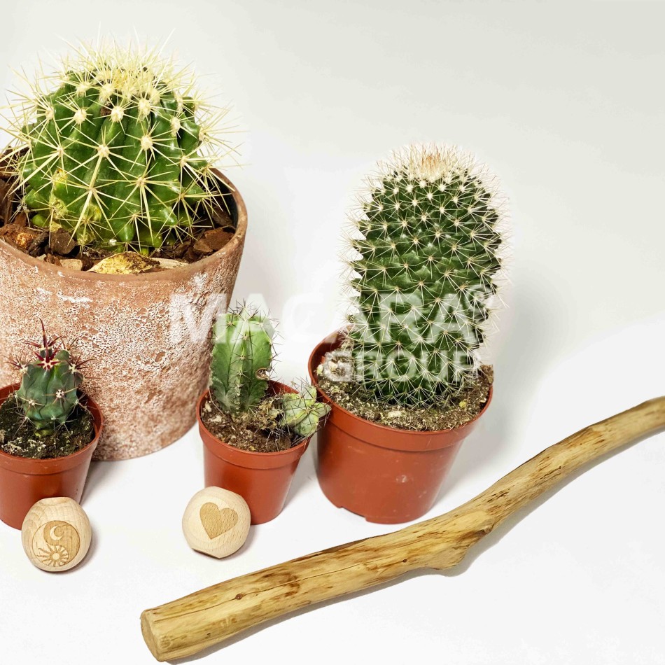 Natural Crafty Hanging Sticks